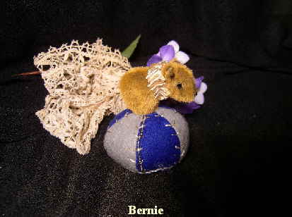a_Bernie08